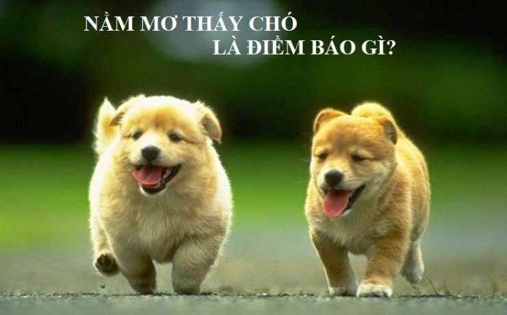 Không có giới hạn tối thiểu về số tiền gửi và rút tiền đối với các tài khoản được xếp hạng 84Win - 84Win